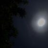 ann2012193